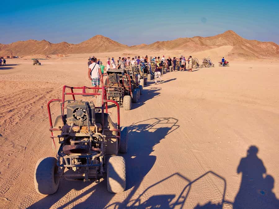 Makadi Bay: ATV, Sea View, Camel, Stargazing, Dinner & Show - Choosing Your Time Slot: Sunrise, Combo, or Sunset Stargazing