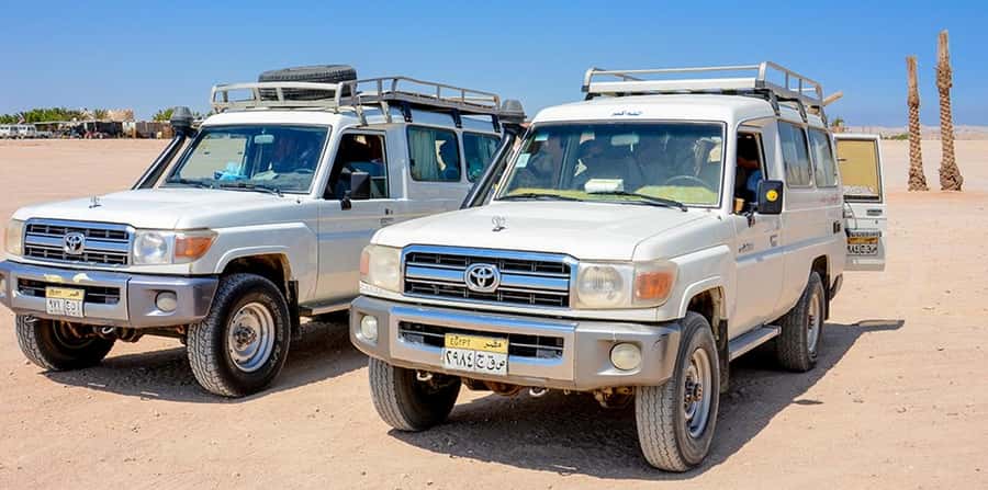 Makadi Bay: Mega Tour Jeep, ATV, Buggy, Camel, Dinner & Show - Dinner and the Sahara Park show with traditional dance