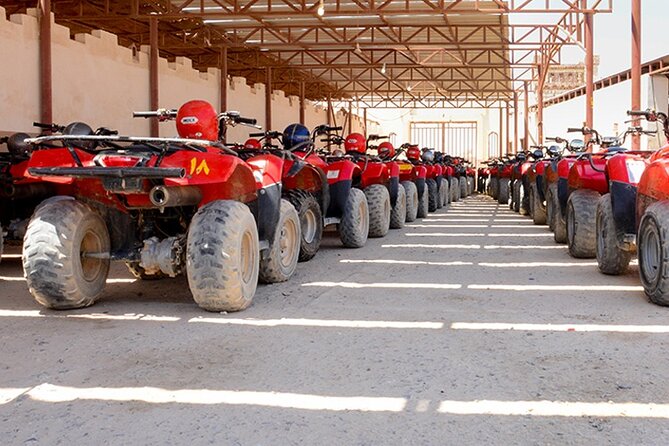Makadi Bay: Sunset Quad & ATV Adventure & Seaview - Picking your time slot: sunrise breakfast, daytime speed, or sunset stargazing