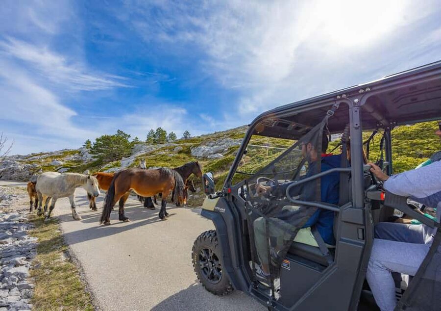 Makarska: Buggy Skywalk and Biokovo Tour - Biokovo Drive Stops: Photo Moments, Wildlife Chances, and Real Mountain Road
