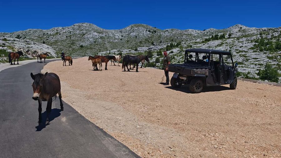 Makarska: Buggy Skywalk and Biokovo Tour - Sinjal Peak: The Viewpoint Walk That Makes the Day Feel Personal