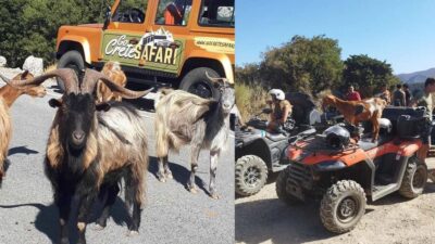 Malia: Off-Road Quad Safari Tour with Lunch and Transfers - The Off-Road Route: Olive Groves, Vineyards, and Unknown Paths