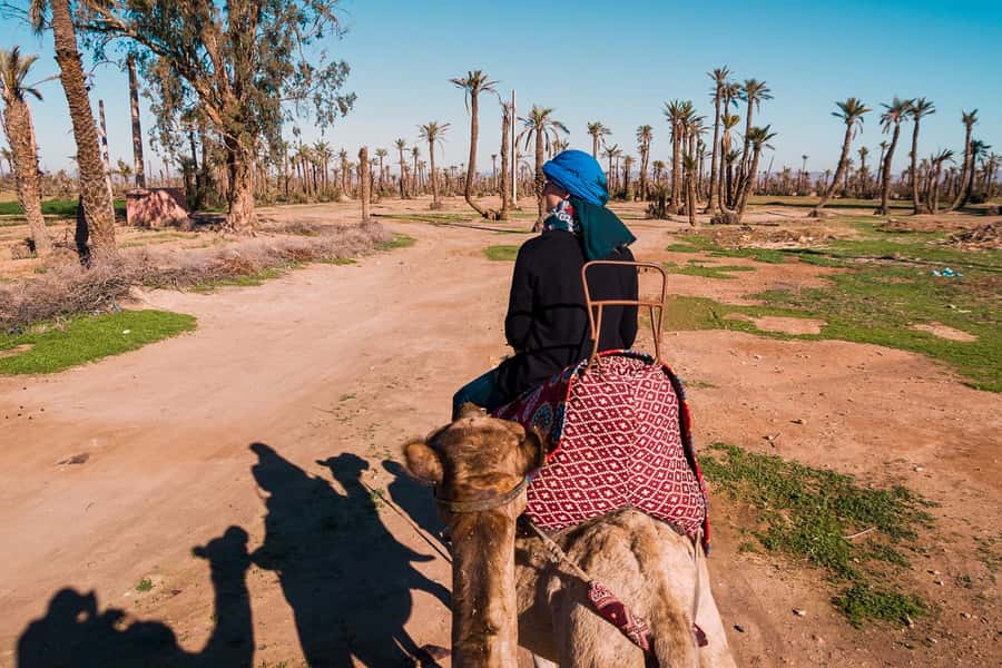 Marrakech: 2-Hour Quad Bike & Camel Ride in Palmeraie - Quad biking the Moroccan outskirts: gear up and follow the route