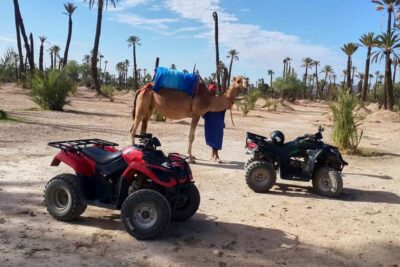Marrakech: 2-Hour Quad Bike & Camel Ride in Palmeraie - Camel ride in the Palmeraie: slow, scenic, and pleasantly different