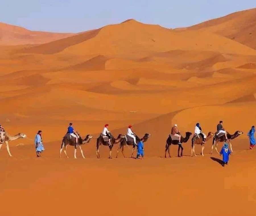 Marrakech: 3-day Exclusive Desert Luxury Tour; Quad & Camels - Bedouin camp evening: dinner under the stars and the cultural extras