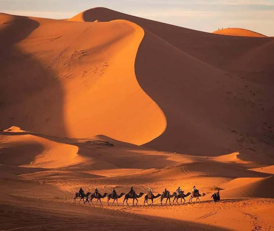 Marrakech: 3-day Exclusive Desert Luxury Tour; Quad & Camels - Quad bikes and luxury tent upgrades: when extra money actually changes the trip