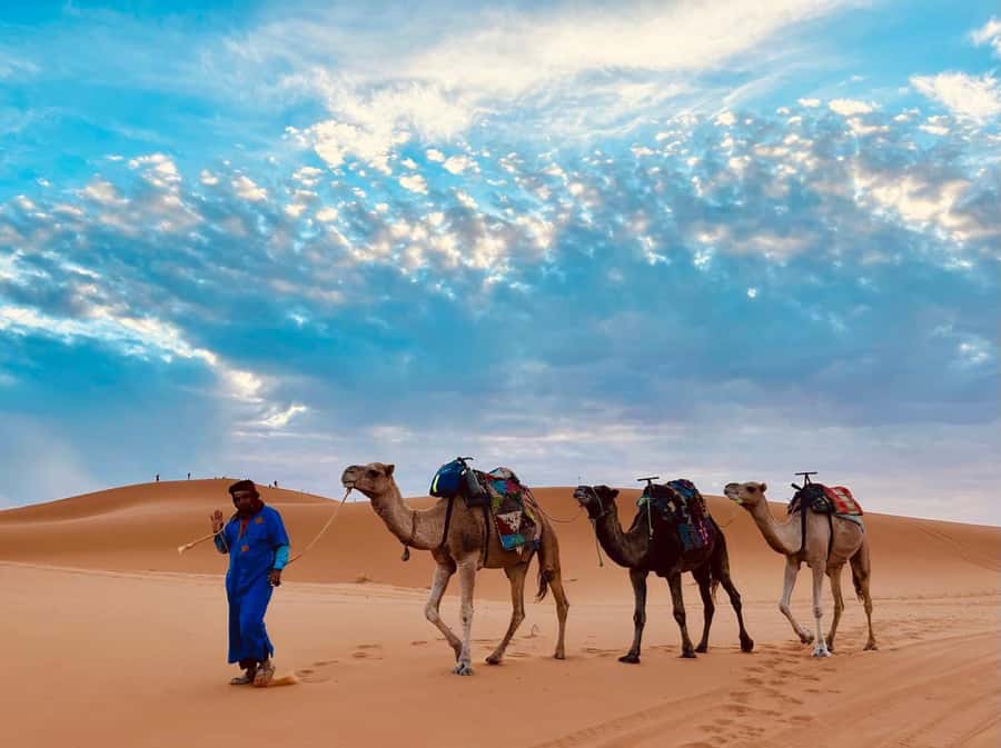 Marrakech: 3-Day Merzouga Desert Tour Camel & Sandboarding - Berber Desert Camp: Music Under the Stars, Comfort Levels, and What to Expect