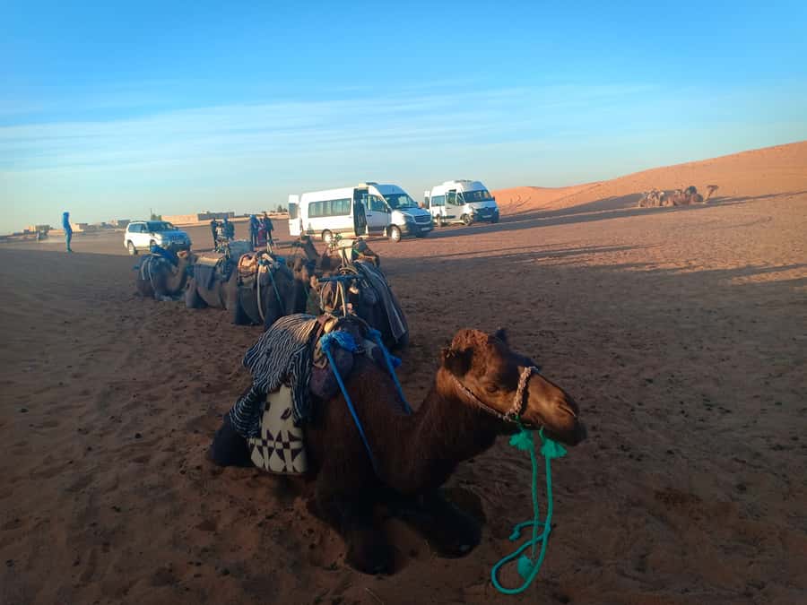 Marrakech: 3-Day Merzouga Sahara Desert Tour with Quad Ride - Merzouga Arrival: The Desert Starts with Letting Go