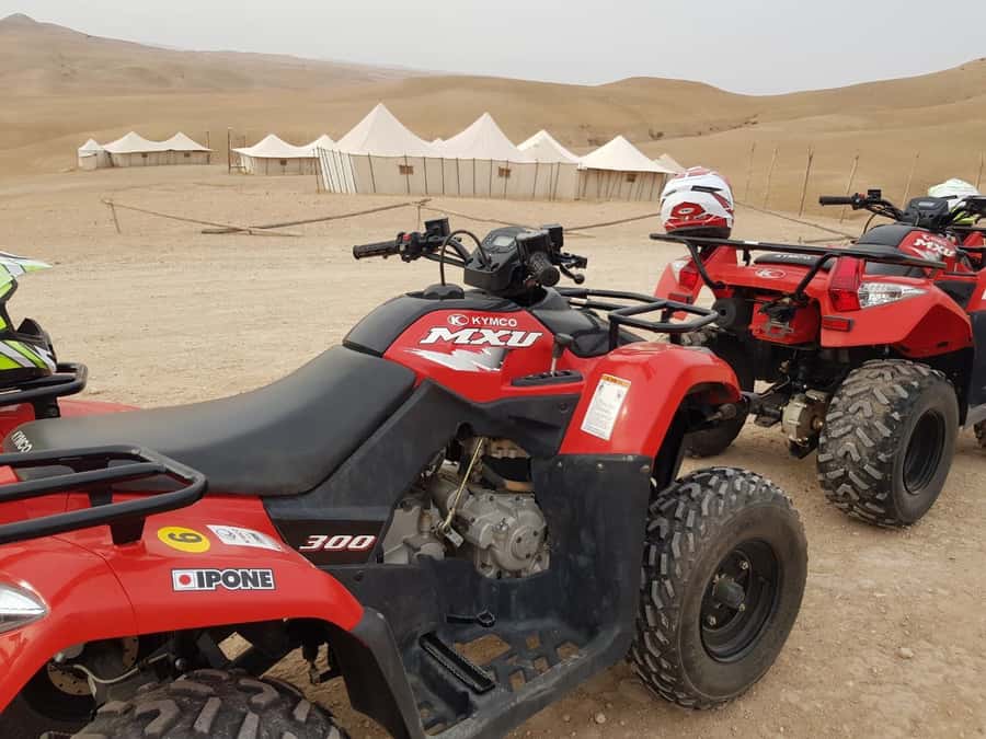 Marrakech: 3-Hour Quad Bike Adventure - Who Should Book This Quad Adventure (And Who Should Skip It)