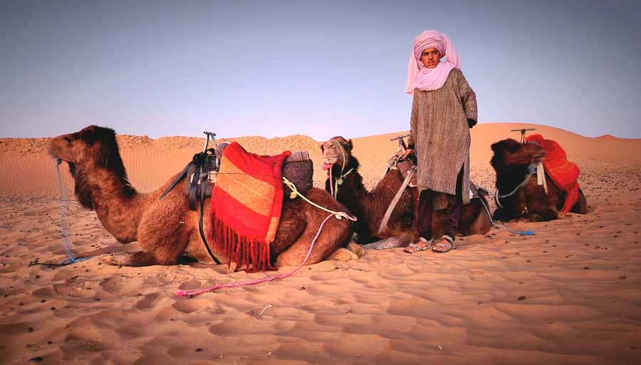 Marrakech: 3Day Luxurious Merzouga Tour w/ Camel&Quad Option - Tinghir and the Dades Gorges: canyon views without the hiking stress