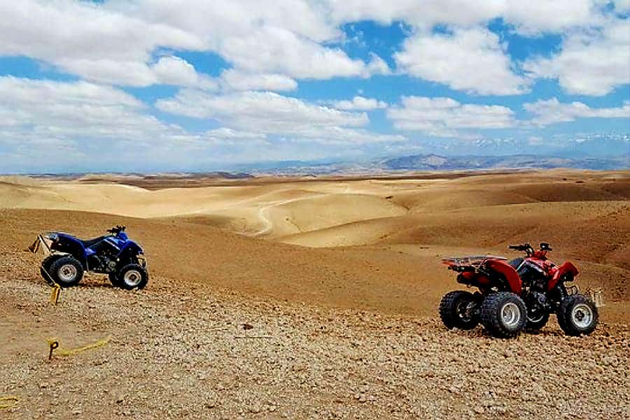 Marrakech Adventure: Agafay Desert Quad, Camel, Lunch - Who this tour fits best (and who should skip it)