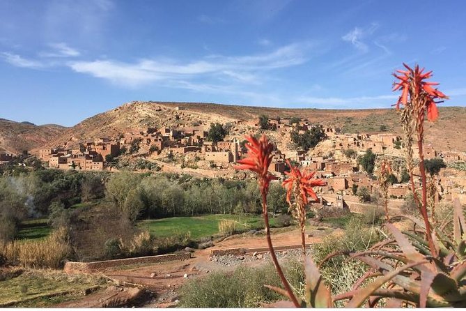 Marrakech: Agafay Desert Dinner, Camel Ride & Quad Biking. - Price and value in Marrakech: is $19.77 really fair?