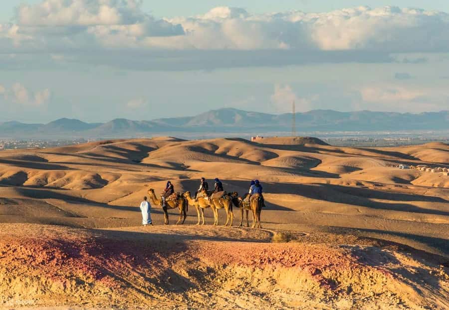Marrakech: Agafay Desert Dinner Show with Quad Bike & Camel - Who should book this Agafay quad and dinner show