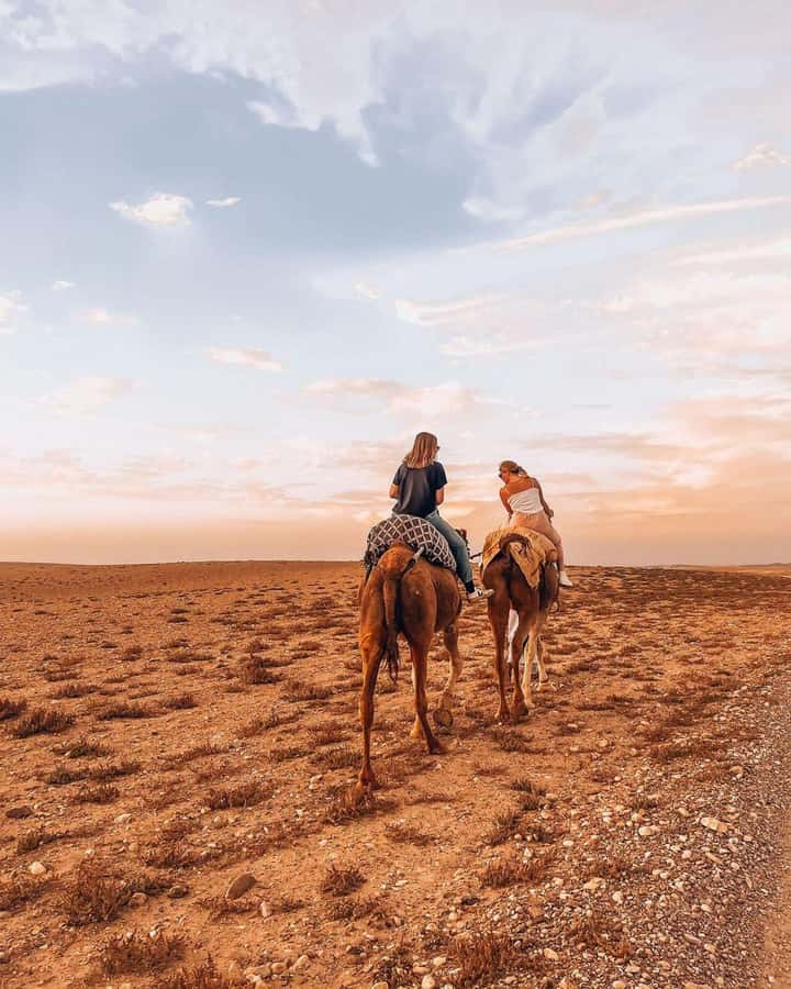 Marrakech: Agafay Desert Escape with Quad or Camel Ride - Value and possible downsides: what $29 buys you