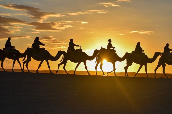 Marrakech: Agafay Desert Quad Biking & Camel Trek & Dinner & Show - Key highlights before you go