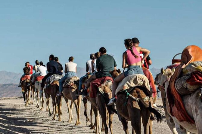 Marrakech: Agafay Desert Quad Biking & Camel Trek & Dinner & Show - Argan Oil Women’s Cooperative Stop: A Quick Culture Check