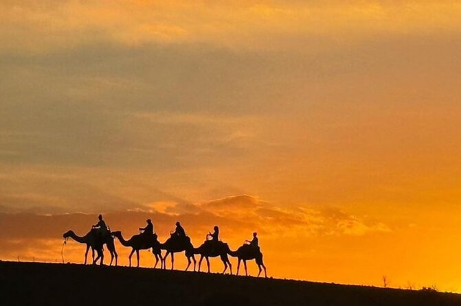 Marrakech: Agafay Desert Quad Biking & Camel Trek & Dinner & Show - Live Berber Performances, Dinner Tent, and the Fire Show Finale