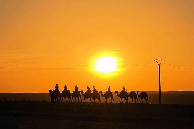 Marrakech: Agafay Desert Quad Biking & Camel Trek & Dinner & Show - Who This Tour Suits Best (and Who Should Rethink It)