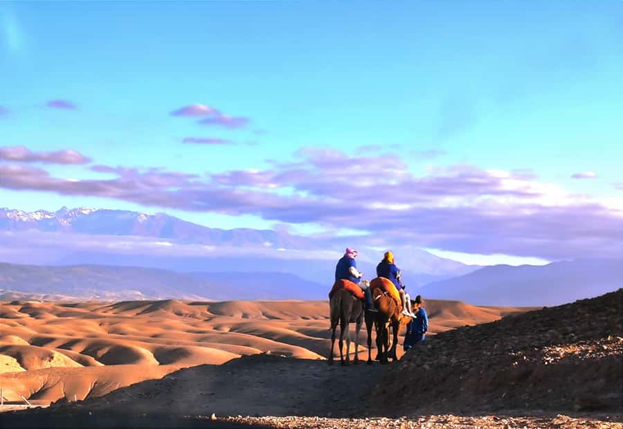 Marrakech: Agafay Desert Quad, Camel or Pool Day with Lunch - Key things to know before you go