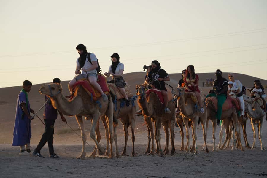 Marrakech: Agafay Desert Quad, Camel or Pool Day with Lunch - Who should book this Agafay day trip