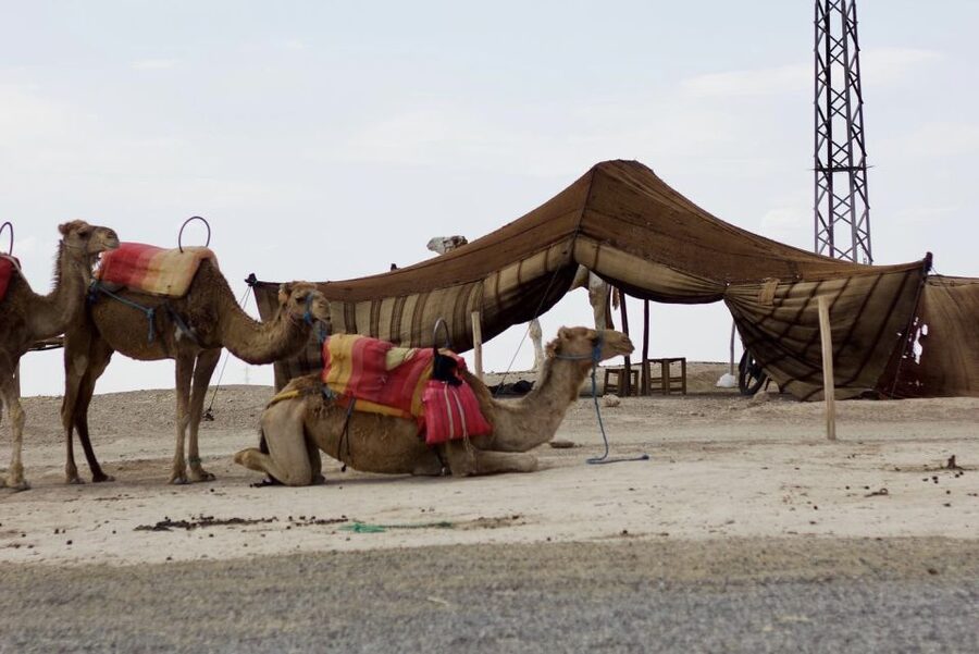Marrakech: Agafay Desert Quad, Camel or Pool Day with Lunch - The Moroccan meal: salads, tajines, couscous, and dessert in a desert setting