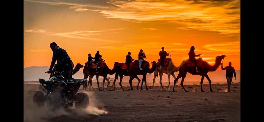Marrakech: Agafay Dinner Show, Camel Ride, Quad, or Buggy - The Camp Dinner: Couscous, Tagine, Tea, and a Real Show