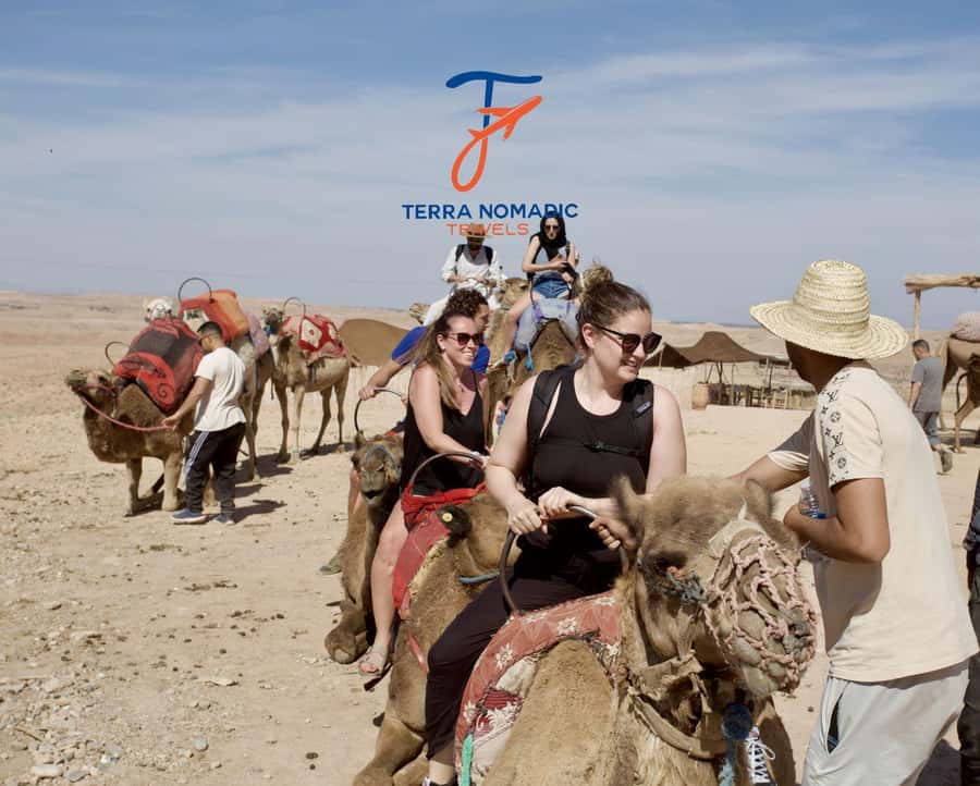 Marrakech: Agafay Dinner Show with Quad/Camel Ride and Pool - The Fire Show and Traditional Music: What You Should Pay Attention To
