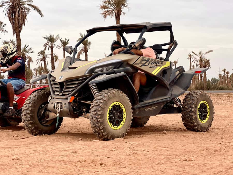Marrakech: Buggy Adventure & Horse Riding in the Palm Grove - The 1-Hour Guided Horse Ride: Calm Control in a Marrakech Palm Grove