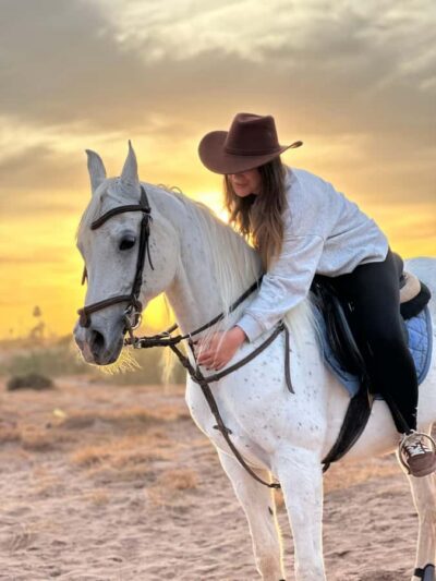 Marrakech: Buggy Adventure & Horse Riding in the Palm Grove - Getting There from Marrakesh: The Van Ride That Sets Expectations