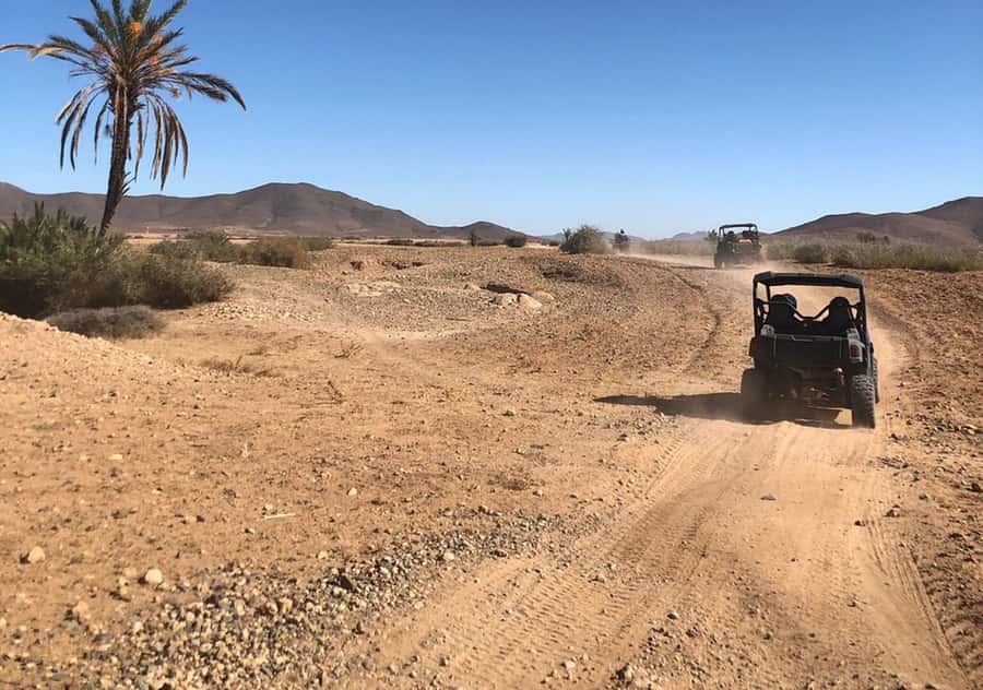 Marrakech: Buggy Experience at Palmeraie with Hotel Pickup - Key things to know before you go