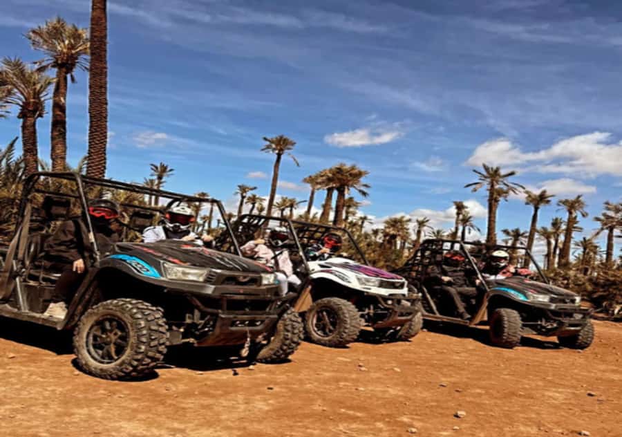 Marrakech: Buggy Experience at Palmeraie with Hotel Pickup - Value and price: is $74 per person worth it?