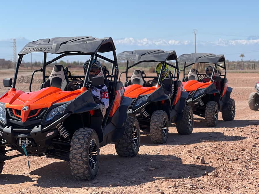 Marrakech Buggy Palmerie and Desert - Value for $44: what you’re actually paying for