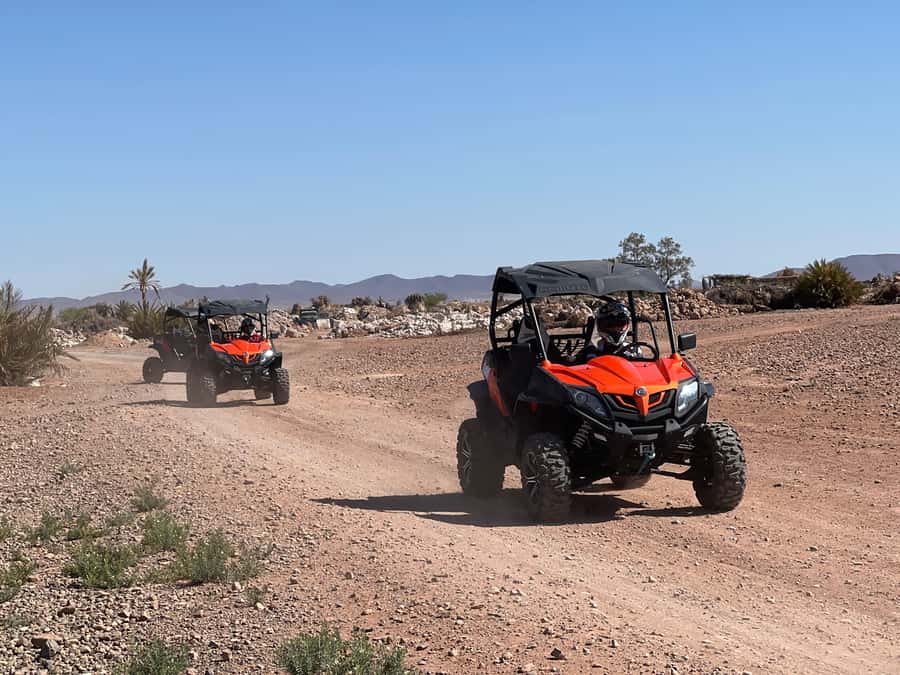 Marrakech Buggy Palmerie and Desert - Why this Marrakesh buggy-and-palm ride feels like an actual escape