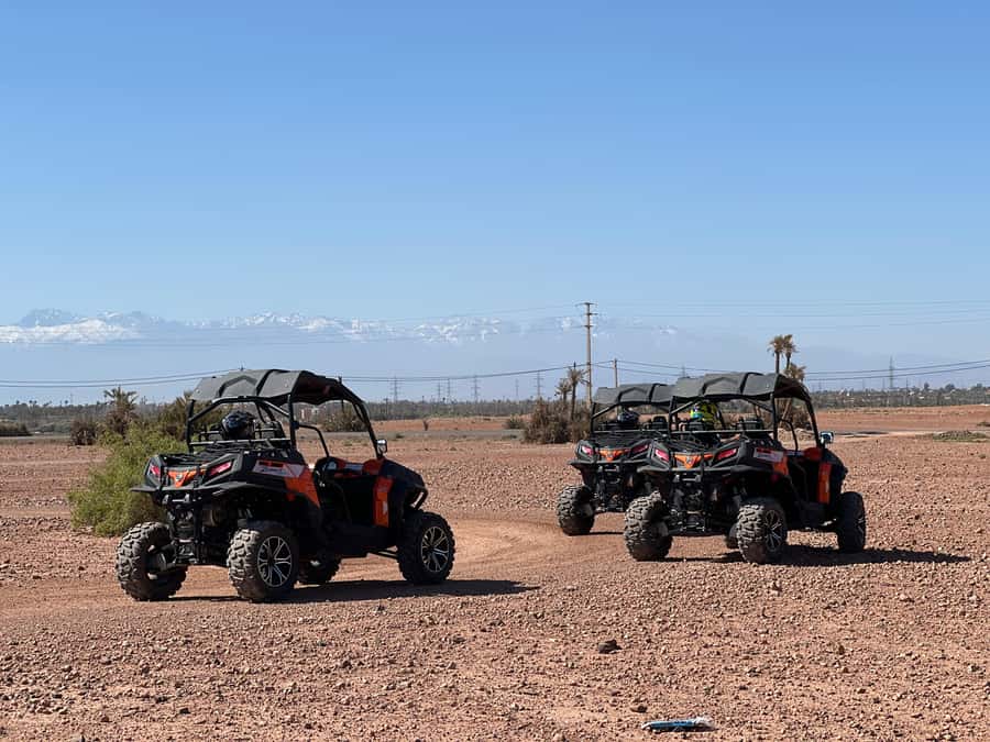 Marrakech Buggy Palmerie and Desert - The Palmeraie photo stop and mint tea break (yes, it’s worth waiting for)