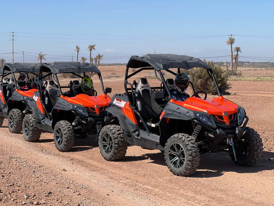 Marrakech Buggy Palmerie and Desert - Who should book this buggy tour (and who should skip it)
