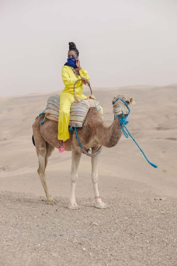 Marrakech: Camel & Quad Bike Tour with Sunset, Dinner & Show - Key highlights worth your attention