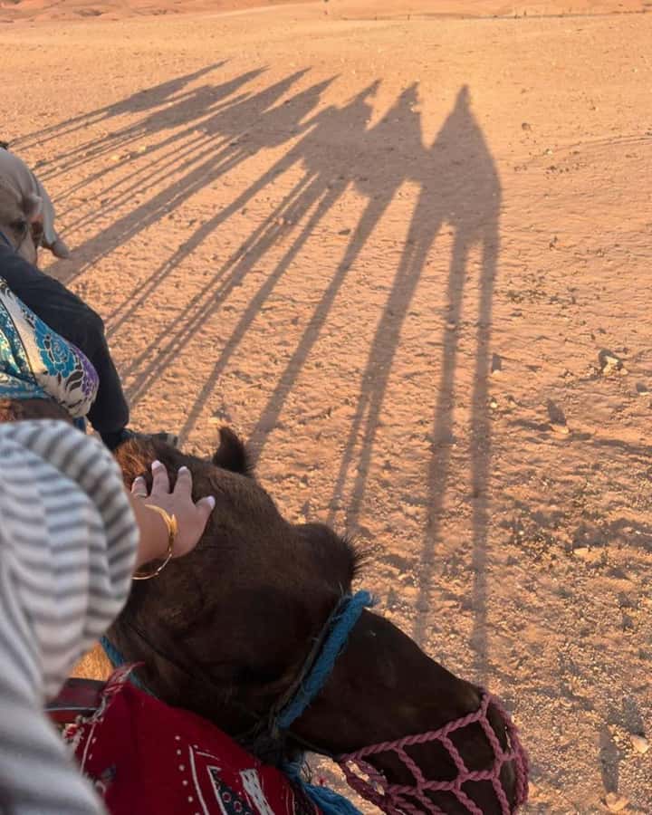 Marrakech: Camel & Quad Bike Tour with Sunset, Dinner & Show - From Medina to Agafay: how the timing stays fun (not rushed)