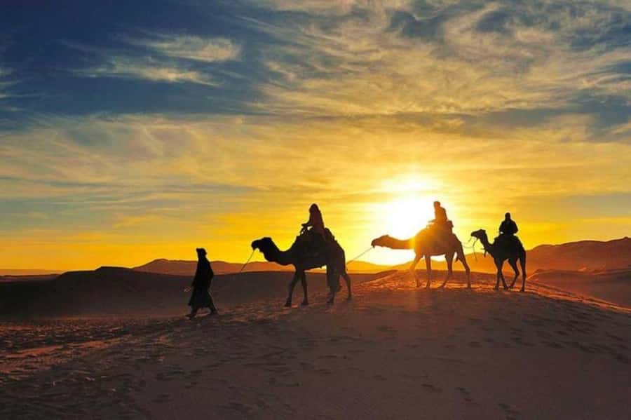 Marrakech: Camel & Quad Bike Tour with Sunset, Dinner & Show - Quad biking in Agafay: 30 minutes of guided speed