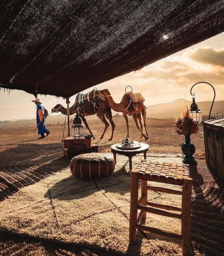 Marrakech: Camel & Quad Bike Tour with Sunset, Dinner & Show - The Berber dinner tent: music, campfire, and a live fire show
