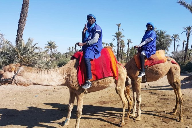 Marrakech Camel ride & Quad Bike experience in the oasis Palmeraie - Tea and pacing: the small comfort that makes it easier