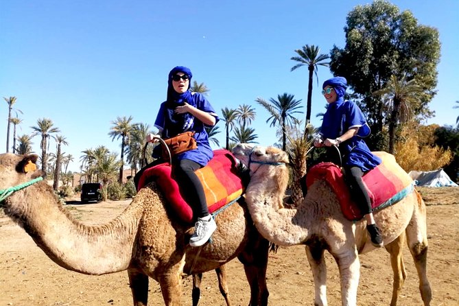 Marrakech Camel ride & Quad Bike experience in the oasis Palmeraie - Who this tour suits best (and who should rethink it)