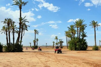 Marrakech Desert and Palm Grove Quad Bike Tour - Key things that make this tour worth your time