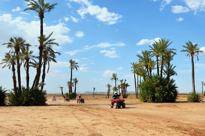 Marrakech Desert and Palm Grove Quad Bike Tour - Key things that make this tour worth your time