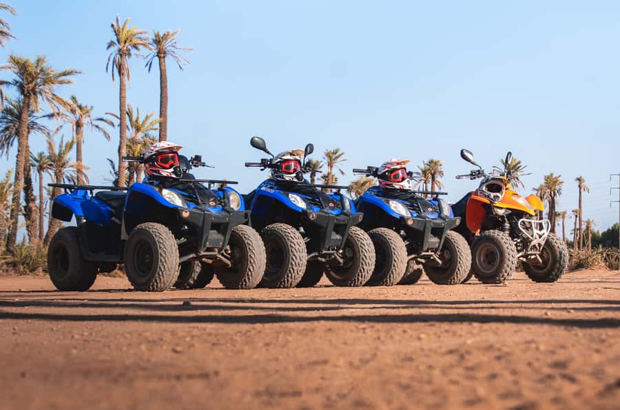 Marrakech: Desert and Palm Grove Quad Tour with Tea - Should You Book This Marrakech Quad and Tea Tour?