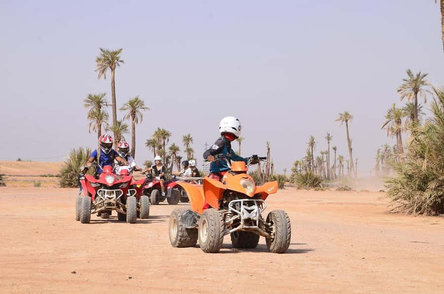Marrakech: Desert and Palm Grove Sunset Quad Tour with Tea - Riding Through Palmeraie and Desert Edges