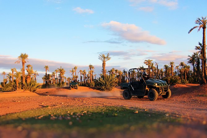 Marrakech Desert Buggy Tour Including Berber Tea Break and transfer - How the 4-Hour Format Actually Plays Out