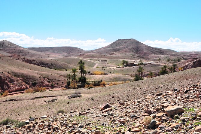 Marrakech Desert Buggy Tour Including Berber Tea Break and transfer - The Berber Tea Break: Warm Pancakes and Real Hospitality (Briefly)