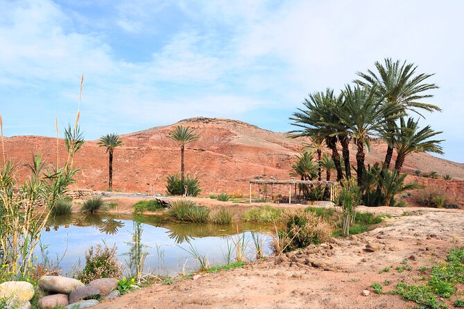 Marrakech Desert Buggy Tour Including Berber Tea Break and transfer - Price and Value: Why $86.32 Can Make Sense Here