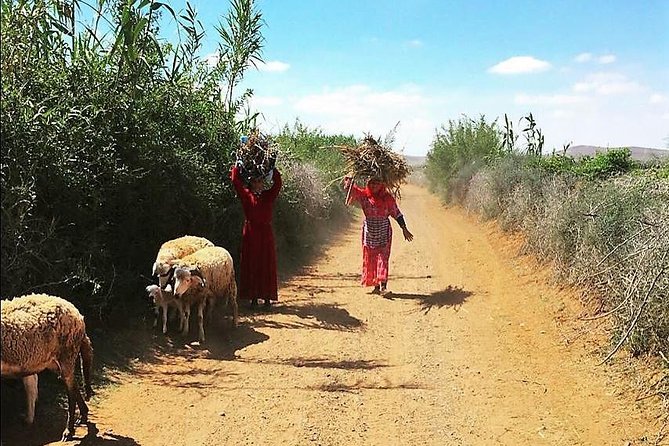 Marrakech Desert Buggy Tour Including Berber Tea Break and transfer - Who Should Book This (And Who Might Want Another Option)