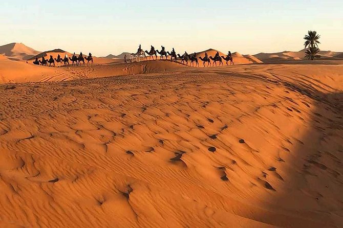 Marrakech Desert: Camel Ride, Quad Biking & Dinner Show Options - The Show: Live Berber Music, Performance, and a Fire Show